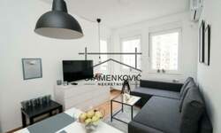 Jednoiposoban stan, Novi Sad, Rotkvarija, izdavanje, 35m2, 490e, id1386645