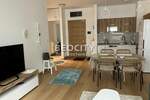 Dvosoban stan, Beograd, Blok 65 (west 65), izdavanje, 57m2, 900e, id1387177