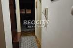 Jednosoban stan, Novi Sad, Centar, izdavanje, 30m2, 350e, id1387190