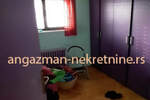 Kuca, Beograd, Kaluđerica, prodaja, 312m2, 288000e, id736969