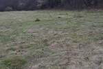 Plac, Gornji Milanovac, prodaja, 600m2, 6000e, id1387421