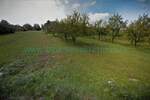 Plac, Beograd, Ključ, prodaja, 5600m2, 168000e, id1387516