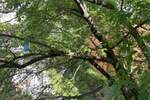 Dvosoban stan, Beograd, prodaja, 55m2, 205500e, id1387952