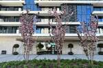 Cetvorosoban stan, Beograd, Beograd na vodi, prodaja, 146m2, 998000e, id1387954