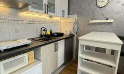Jednosoban stan, Beograd, Karaburma, izdavanje, 25m2, 500e, id1387955