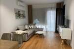 Dvosoban stan, Beograd, Lekino Brdo, izdavanje, 46m2, 900e, id1387966
