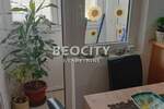 Dvosoban stan, Beograd, Zvezdara, izdavanje, 53m2, 500e, id1388007