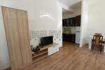 Jednoiposoban stan, Niš, Palilula, izdavanje, 35m2, 350e, id1388020