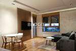 Jednosoban stan, Beograd, Blok 65 (west 65), izdavanje, 37m2, 700e, id1388428