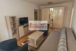 Dvosoban stan, Beograd, Banovo Brdo, izdavanje, 55m2, 550e, id1389137