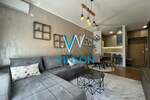 Jednoiposoban stan, Novi Sad, Kej, izdavanje, 46m2, 650e, id1388603