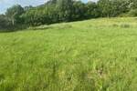 Plac, Beograd, Ripanj, prodaja, 0m2, 300000e, id1389712