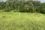 Plac, Beograd, Ripanj, prodaja, 0m2, 300000e, id1389712