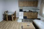 Jednoiposoban stan, Niš, Centar, izdavanje, 55m2, 300e, id1389769
