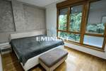 Dvosoban stan, Beograd, Dedinje, izdavanje, 55m2, 900e, id1390056