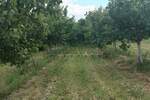 Kuca, Knić, Pajsijević, prodaja, 160m2, 60000e, id1390086
