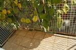 Dvoiposoban stan, Beograd, Bele Vode, izdavanje, 62m2, 330e, id1390601