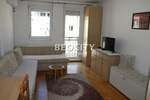 Jednosoban stan, Novi Sad, Nova Detelinara, izdavanje, 25m2, 250e, id1390652
