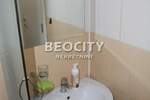 Jednosoban stan, Novi Sad, Nova Detelinara, izdavanje, 25m2, 250e, id1390652