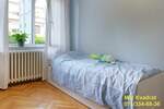 Dvoiposoban stan, Beograd, Banovo Brdo, prodaja, 61m2, 175000e, id1391693