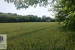 Plac, Beograd, Brgulice, prodaja, 0m2, 27000e, id1360493