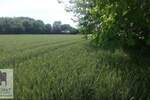 Plac, Beograd, Brgulice, prodaja, 0m2, 27000e, id1360493