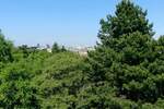 Dvosoban stan, Beograd, Dedinje, izdavanje, 100m2, 800e, id970750