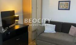 Jednosoban stan, Novi Sad, Nova Detelinara, izdavanje, 20m2, 250e, id1392342