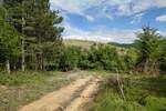 Plac, Niš, Berbatovo, prodaja, 3724m2, 12200e, id1392370
