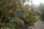 Dvosoban stan, Beograd, Bežanijska Kosa, izdavanje, 52m2, 500e, id826549