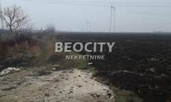 Plac, Pećinci, Šimanovci, prodaja, 14000m2, 280000e, id1392878