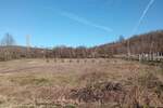 Plac, Kragujevac, Korman, prodaja, 3779m2, 20000e, id836285