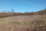 Plac, Kragujevac, Korman, prodaja, 3779m2, 20000e, id836285