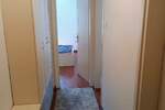 Dvosoban stan, Beograd, Južni bulevar, izdavanje, 40m2, 500e, id1393295