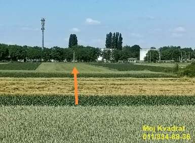 Plac, Beograd, Batajnica, prodaja, 0m2, 163000e, id1393299