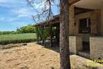 Kuca, Novi Sad, prodaja, 491m2, 215000e, id1393301