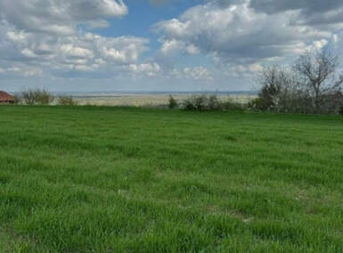 Plac, Novi Sad, Vezirac, prodaja, 1438m2, 77250e, id1392637
