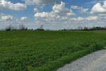 Plac, Novi Sad, Vezirac, prodaja, 1438m2, 77250e, id1392637