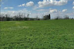 Plac, Novi Sad, Vezirac, prodaja, 1438m2, 77250e, id1392637
