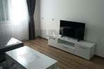 Jednoiposoban stan, Niš, Medicinski fakultet, izdavanje, 48m2, 300e, id1181575