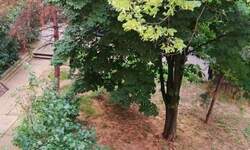 Trosoban stan, Beograd, Višnjička Banja, prodaja, 70m2, 227499e, id1391748
