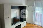 Jednosoban stan, Beograd, Denkova bašta, izdavanje, 45m2, 450e, id1389178