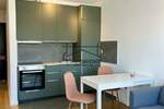 Jednoiposoban stan, Novi Sad, Petrovaradin, izdavanje, 39m2, 400e, id1393943