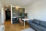 Jednoiposoban stan, Novi Sad, Petrovaradin, izdavanje, 39m2, 400e, id1393943