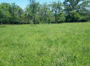 Kuca, Beograd, Baćevac, prodaja, 75m2, 190000e, id1394462