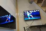 Jednosoban stan, Beograd, Vračar (centar), izdavanje, 30m2, 450e, id1394496