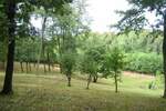 Plac, Beograd, Draževac, izdavanje, 0m2, 25000e, id1395375