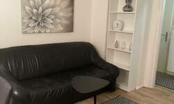 Dvosoban stan, Beograd, Profesorska Kolonija, izdavanje, 40m2, 700e, id1395403