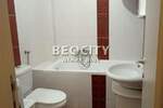 Dvosoban stan, Novi Sad, Socijalno, izdavanje, 54m2, 450e, id1395434