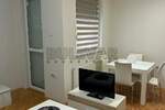Jednoiposoban stan, Niš, Šojka, izdavanje, 37m2, 300e, id1395470